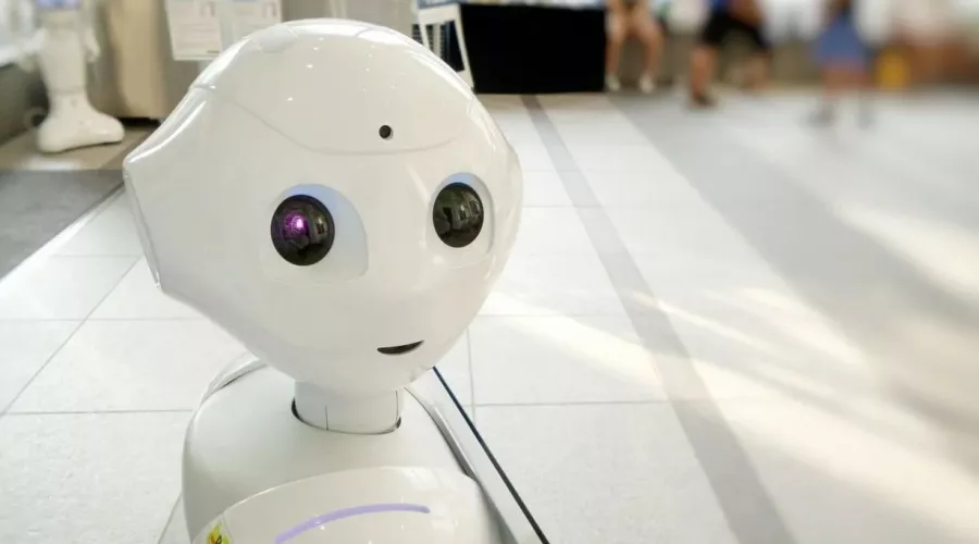 В школах Сибири могут появиться роботы-учителя 
