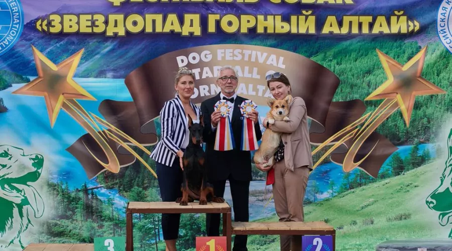 Друг в беде не бросит: на Алтае прошел фестиваль для собак и их хозяев
