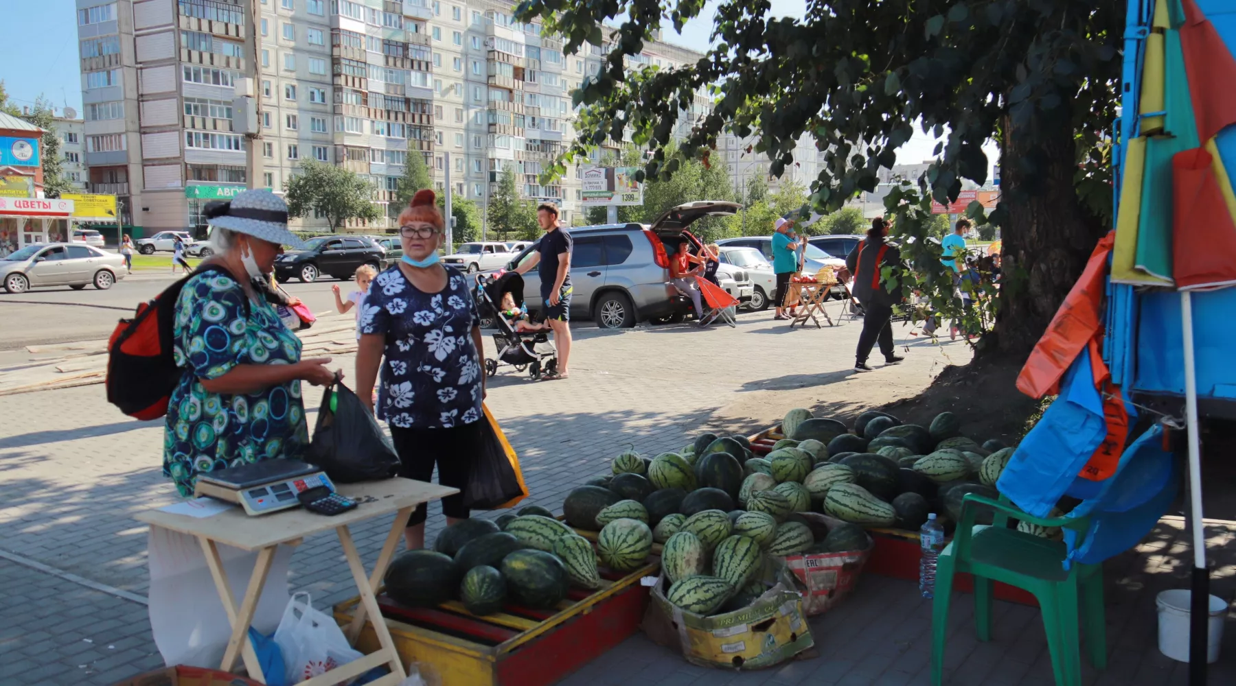 Статистика COVID по Алтайскому краю на 2 сентября: заболело 249, умерло 26