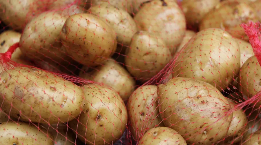 Алтайский фермер объяснил, как правильно выбирать картошку на рынке