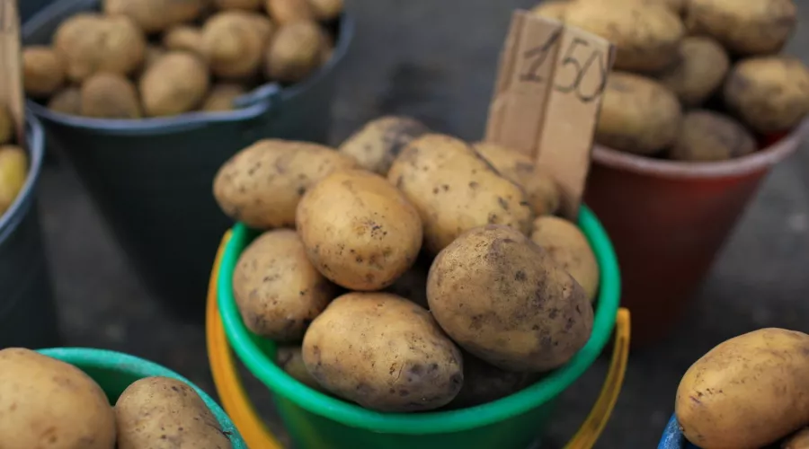 Несмотря на сезон, в России снова начал дорожать картофель 