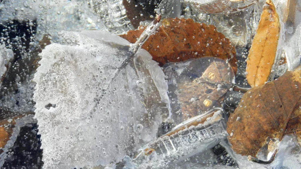 Штормовое предупреждение объявлено в Алтайском крае в связи с заморозками - Информационный портал "Бийский рабочий", 13.09.2025