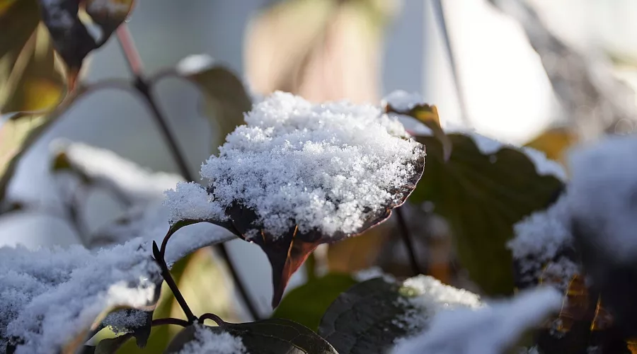 Очевидцы рассказали о первом снеге в бийском Сорокино и на барнаульской трассе