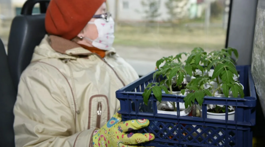 Городской Дачник