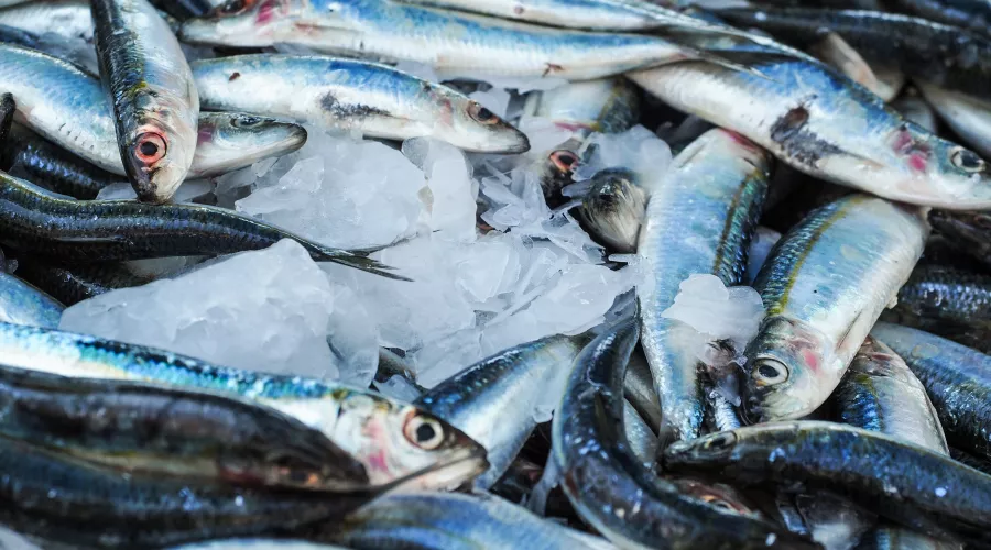 Золотая рыбка: россиян предупредили о росте цен на минтай и селедку