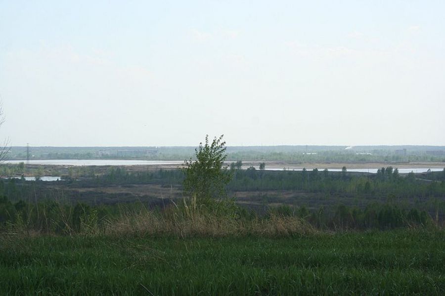 Бийчанин призывает общественность выйти на расчистку озера Кругленькое