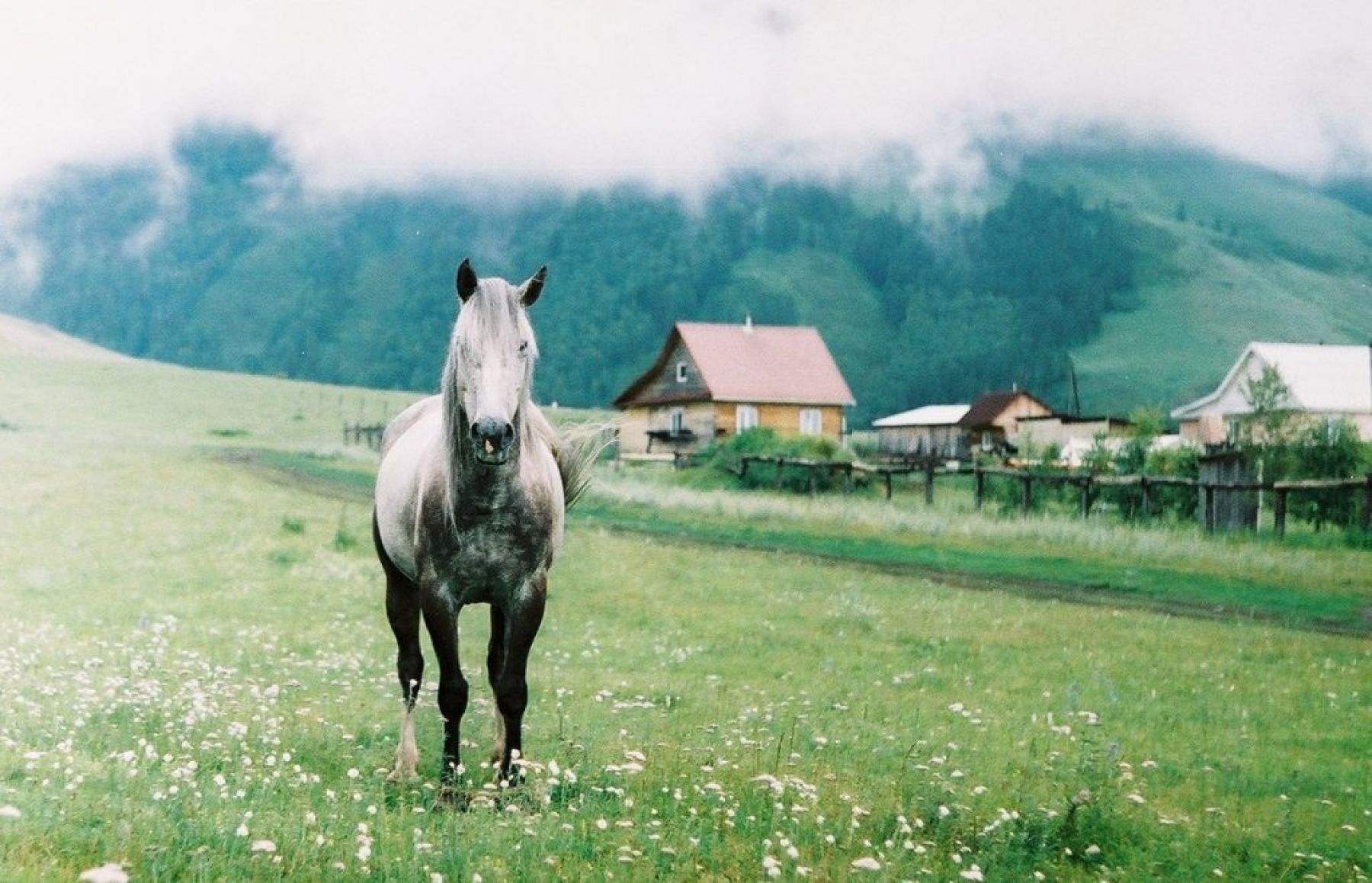 Бийский фотограф Влада Чубаева выбрала для работы «Зенит-11» 1985 года
