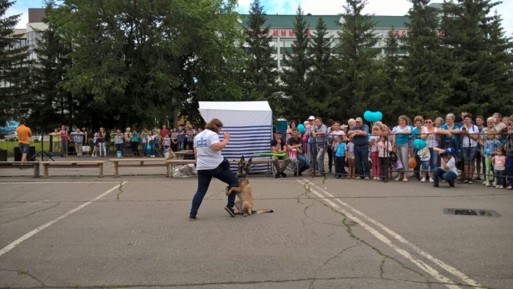 Овчарка по кличке Витара делает обнимашки. Фото: Светлана Владимирская 