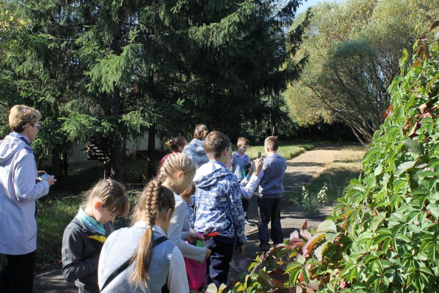 Сказочная поляна появилась в дендропарке Детского эколого-туристического центра 