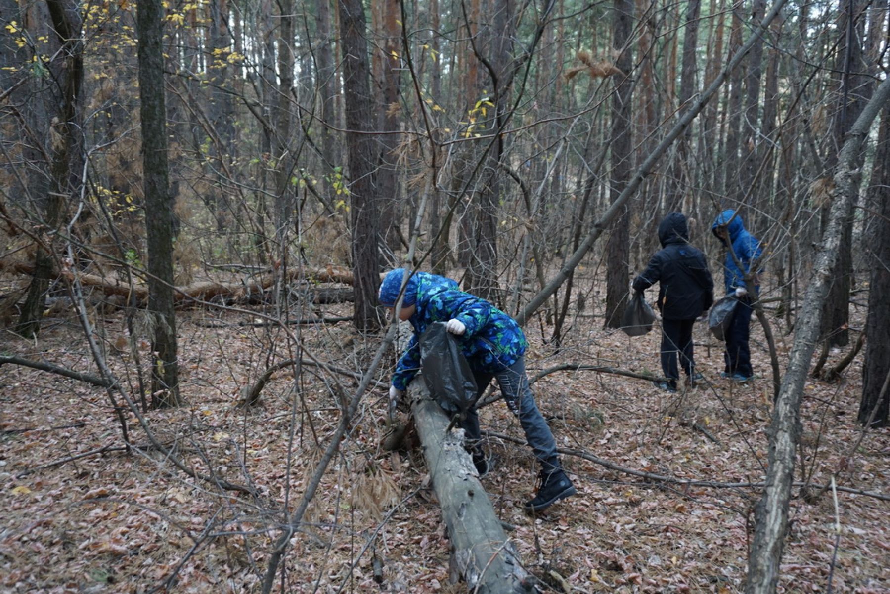 Фоторепортаж: Бийские школьники убрали мусор в лесопарковой зоне