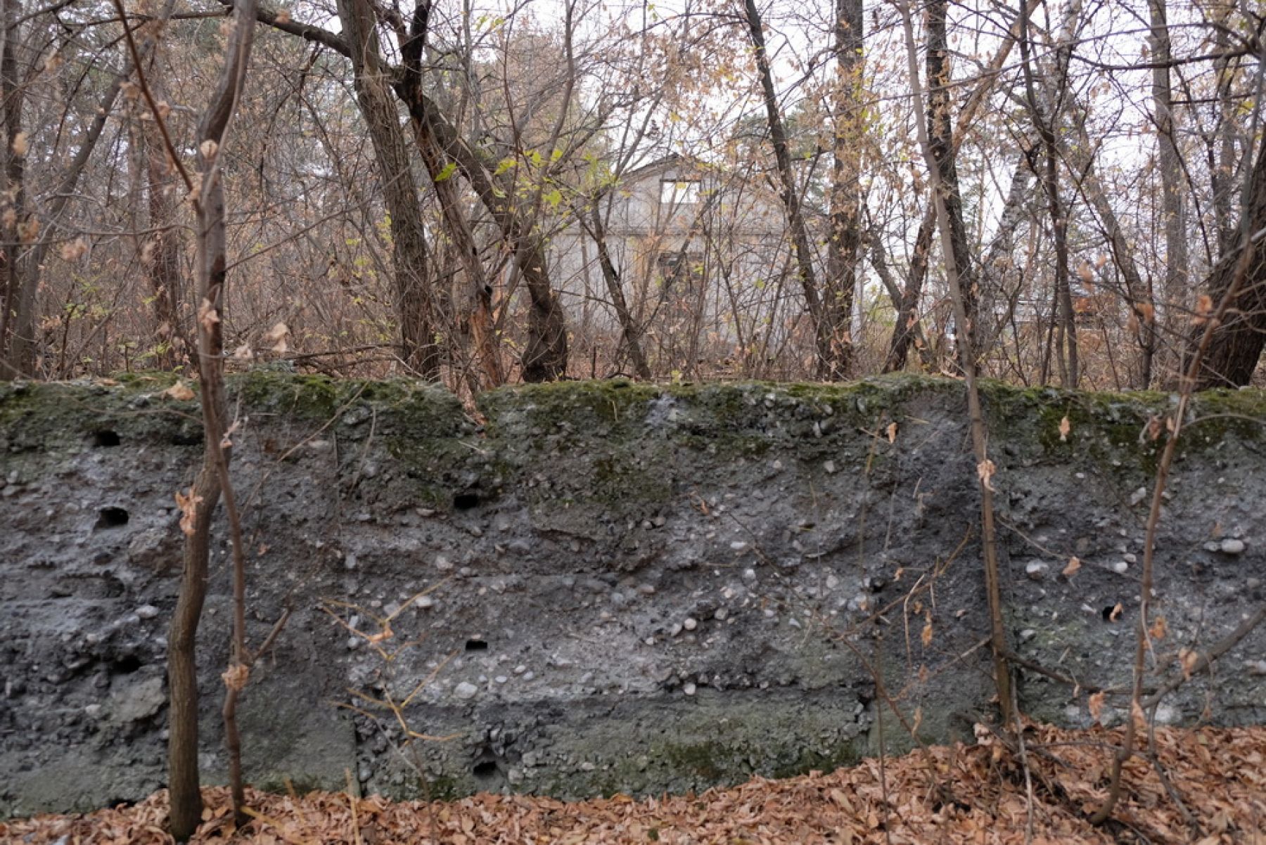 Оставить след: в Бийске сохранились здания, построенные пленными