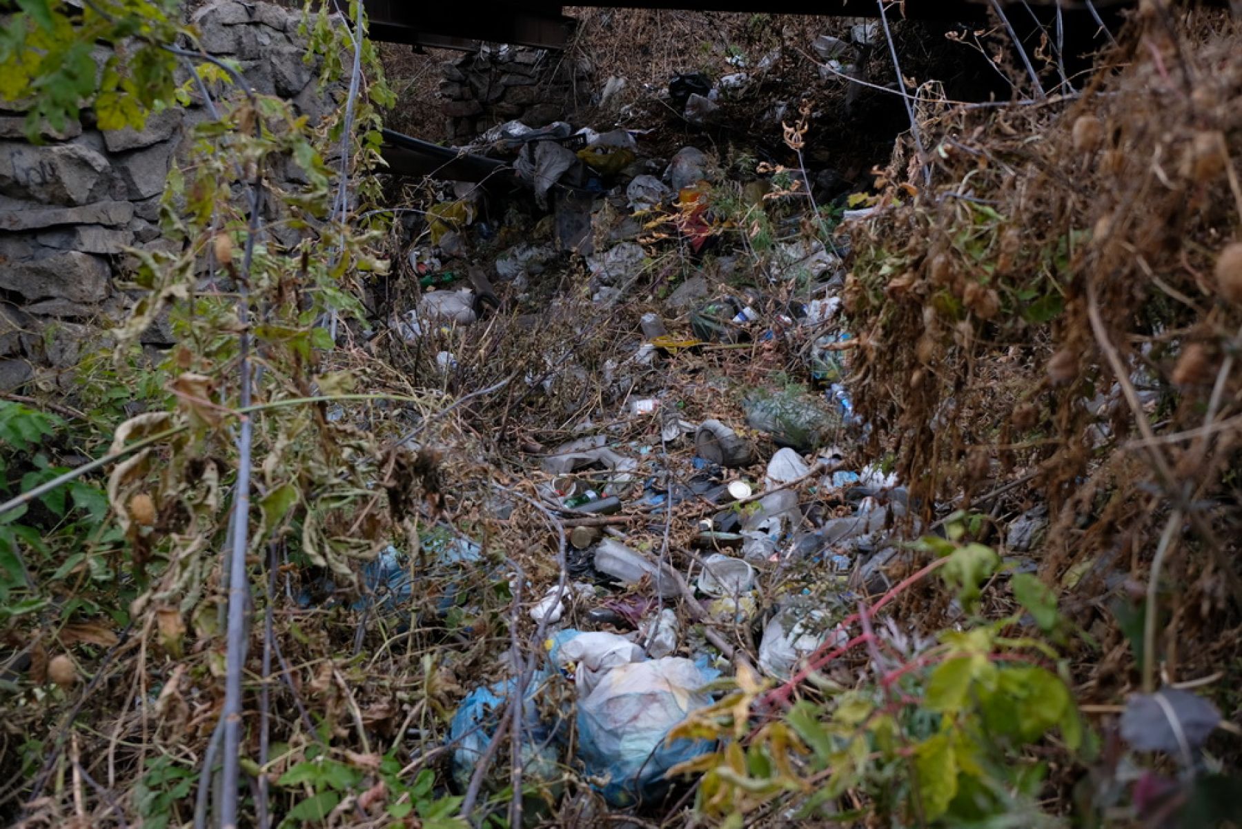 Оставить след: в Бийске сохранились здания, построенные пленными