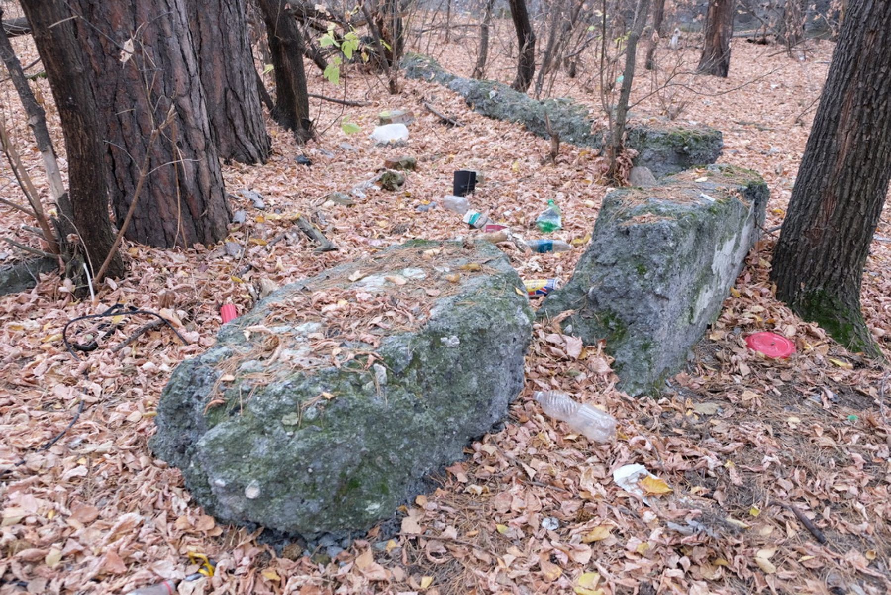 Оставить след: в Бийске сохранились здания, построенные пленными