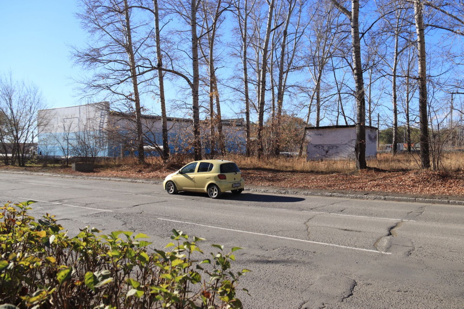 Верни мне мой 200. : что бийчане пишут на стенах?