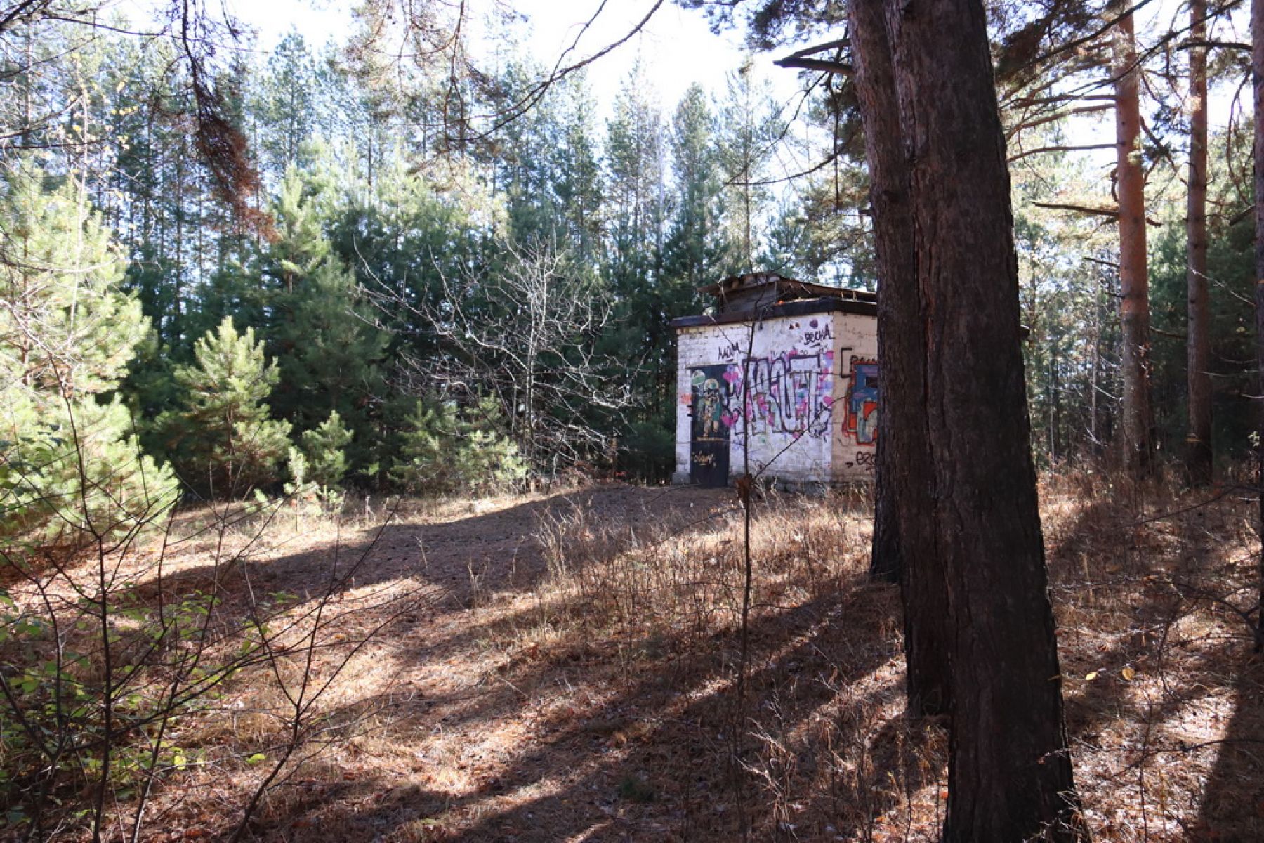 Верни мне мой 200. : что бийчане пишут на стенах?