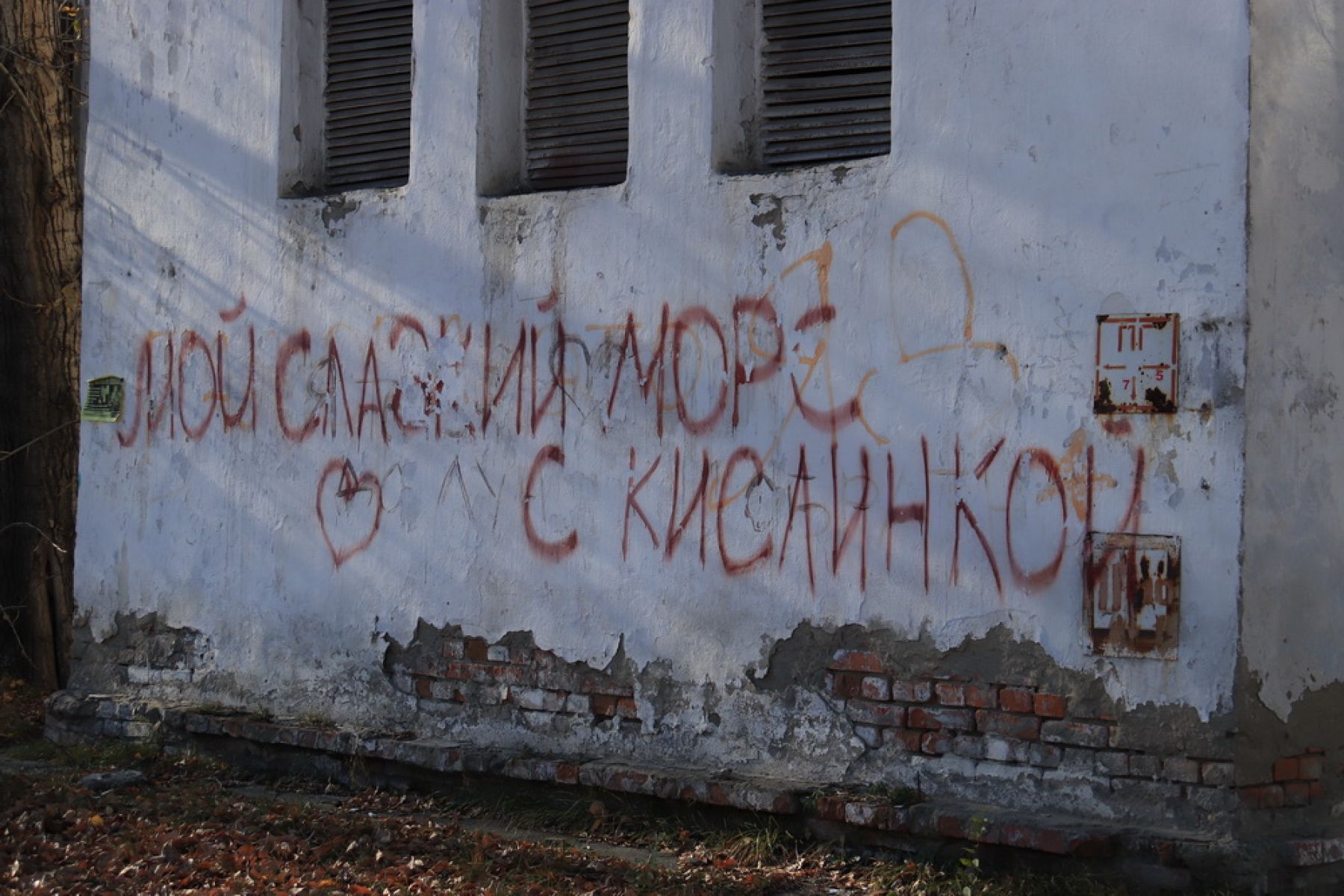 Верни мне мой 200. : что бийчане пишут на стенах?