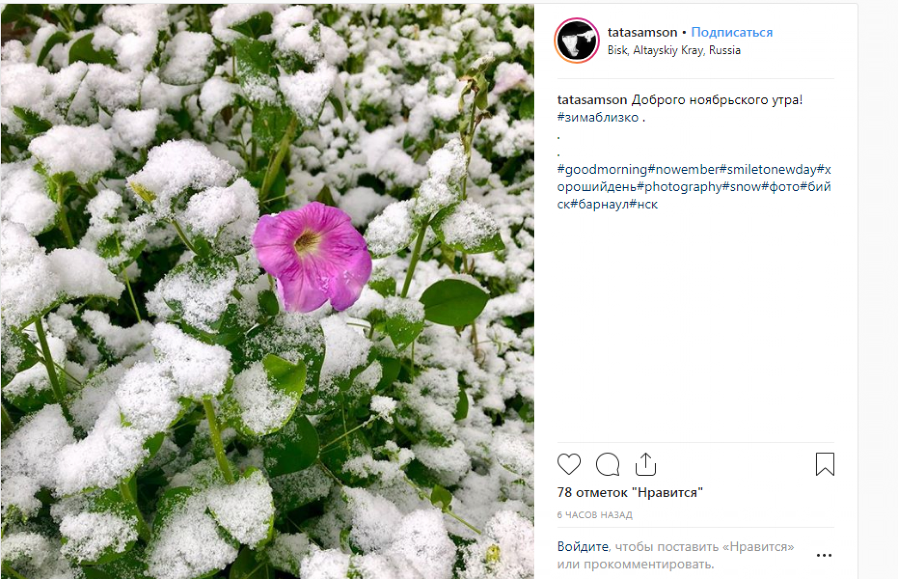 Не первый снег: бийчане фотографируют осенне-зимние пейзажи 