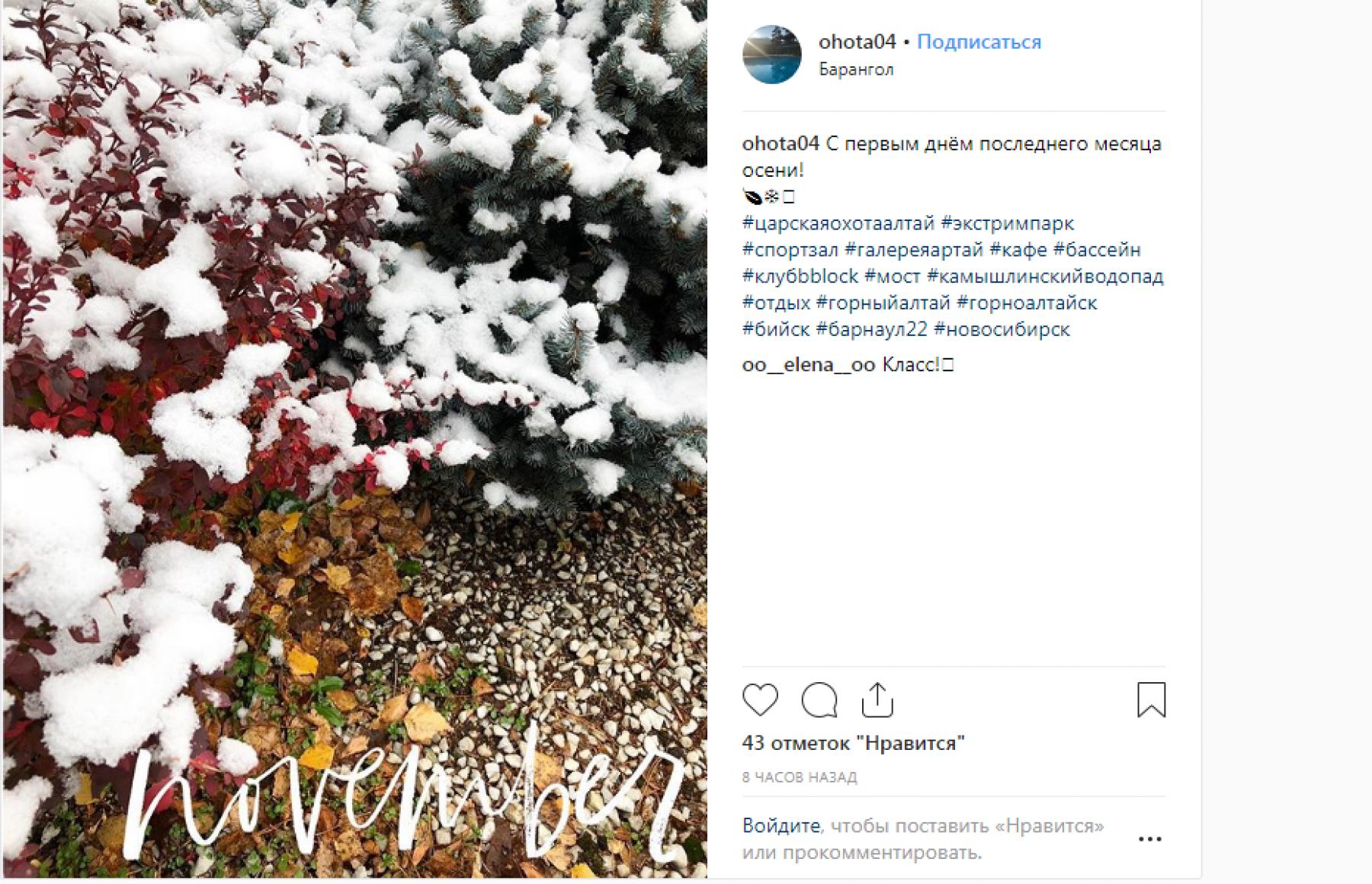 Не первый снег: бийчане фотографируют осенне-зимние пейзажи 