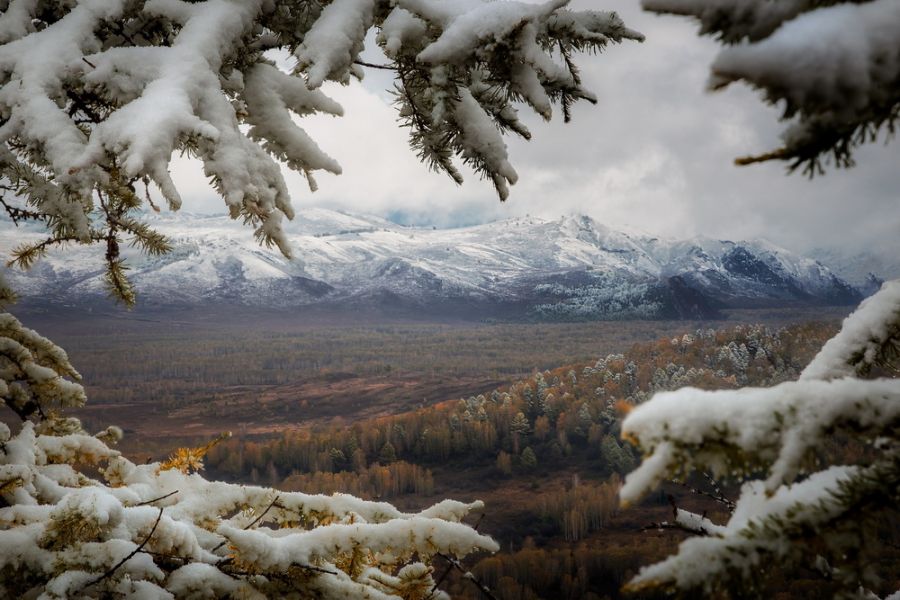 Не первый снег: бийчане фотографируют осенне-зимние пейзажи 