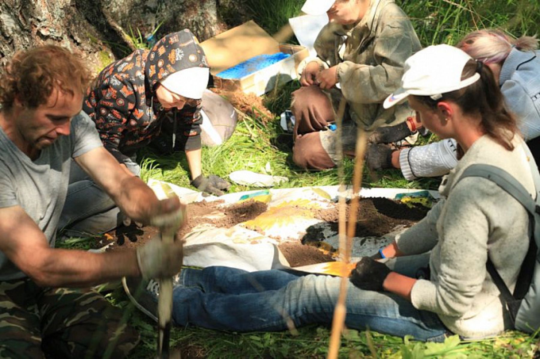 Новый вид животных открыли в Алтайском крае 