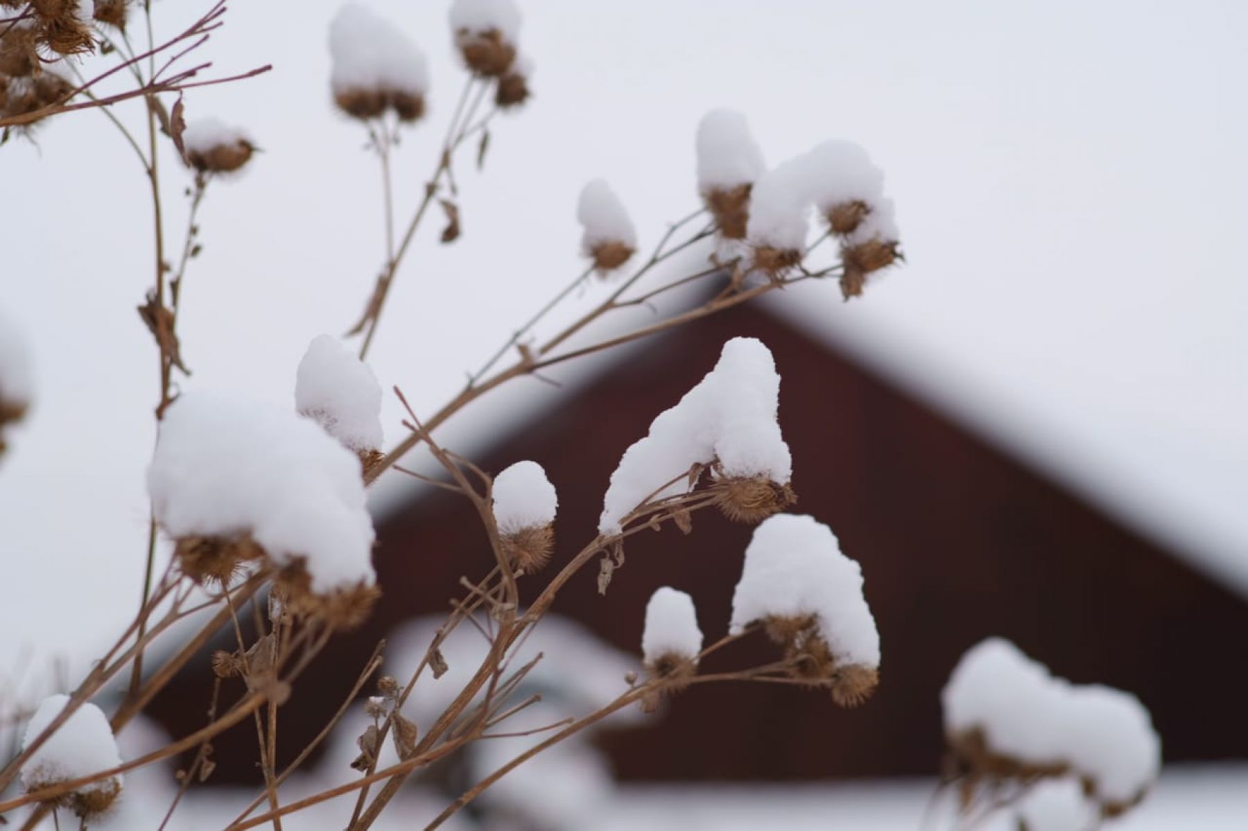 Уборка снега идет на тротуарах и пешеходных переходах