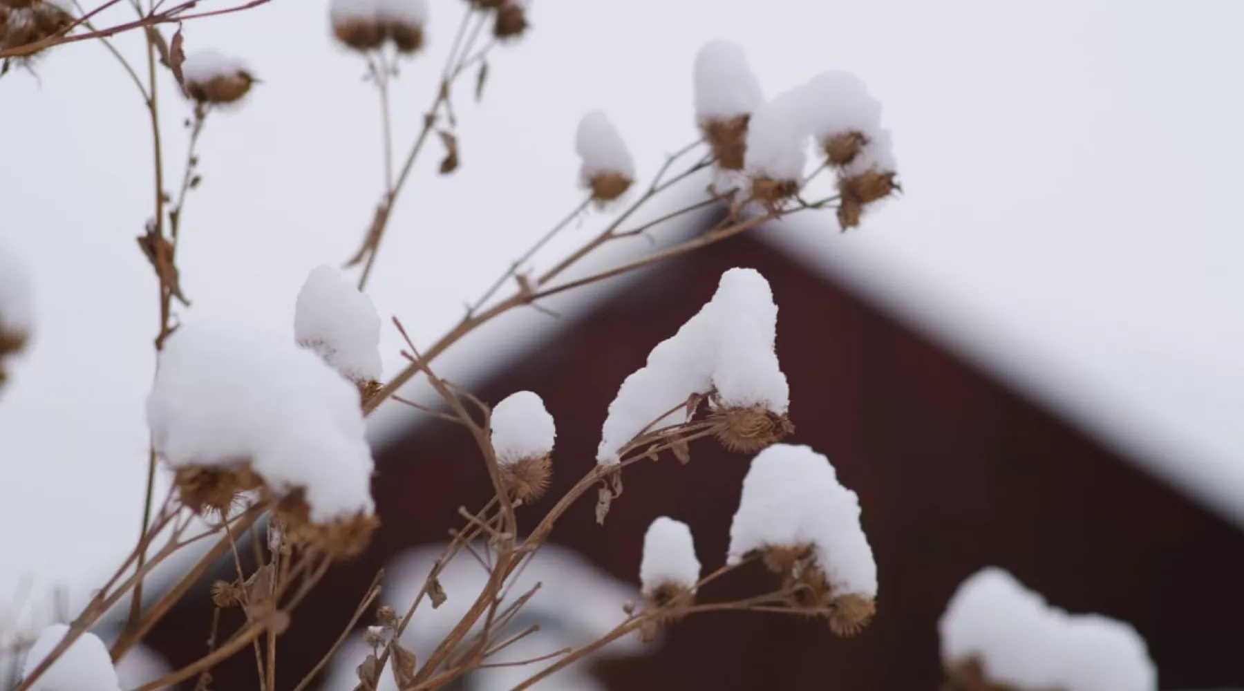 Уборка снега идет на тротуарах и пешеходных переходах