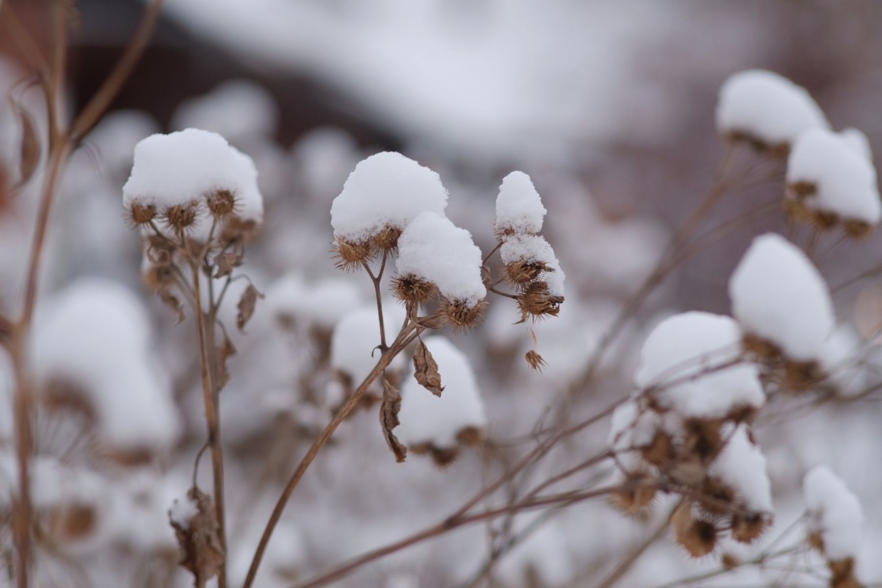 Уборка снега идет на тротуарах и пешеходных переходах