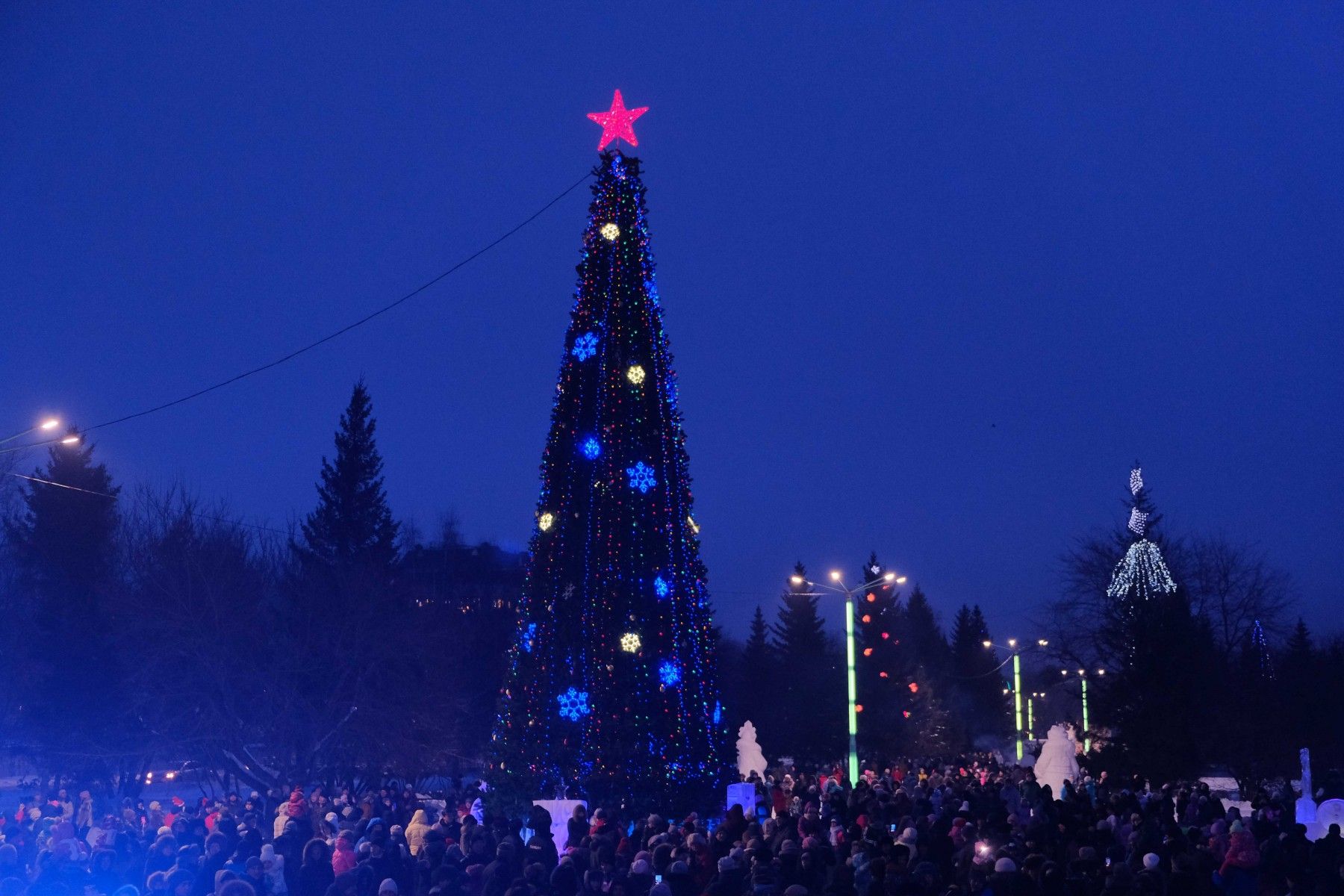 Фоторепортаж: открытие главной городской елки 