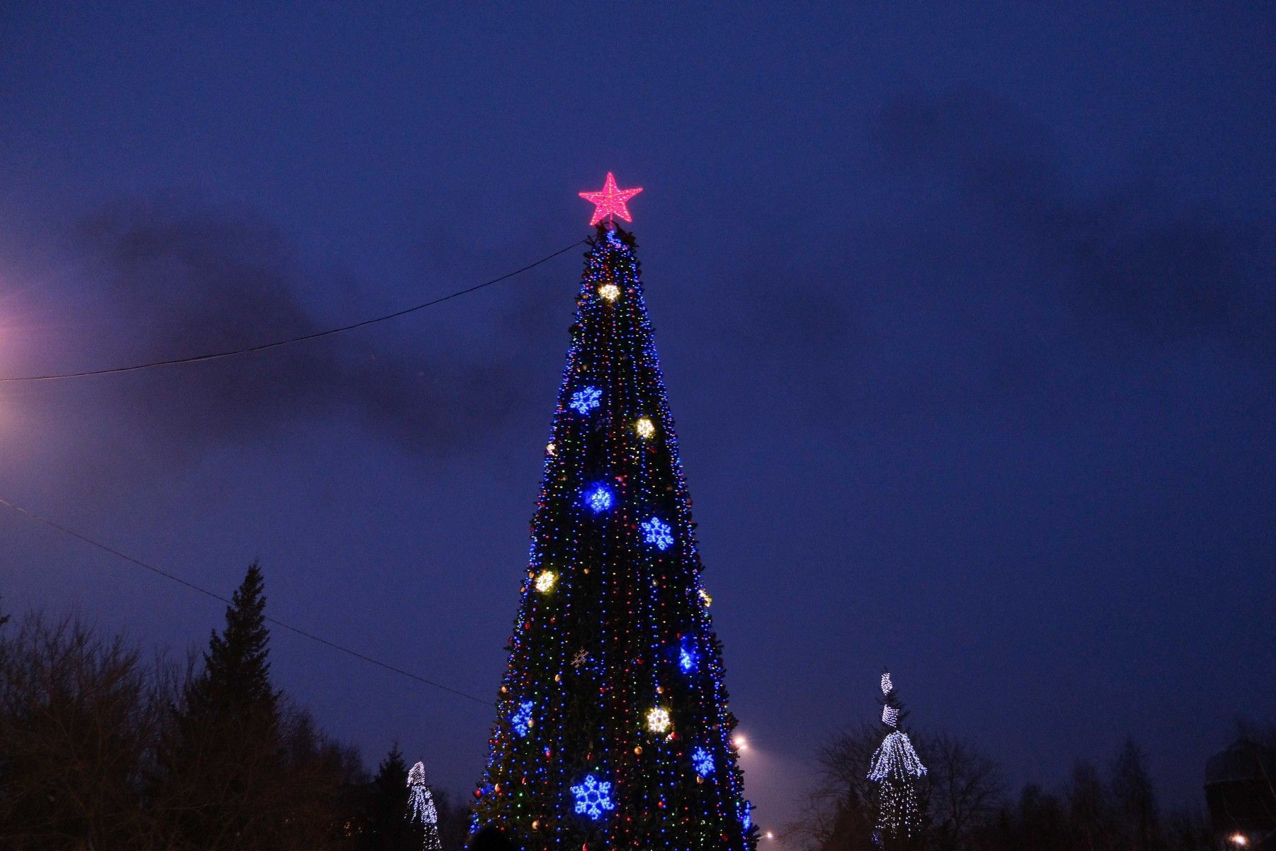 Фоторепортаж: открытие главной городской елки 