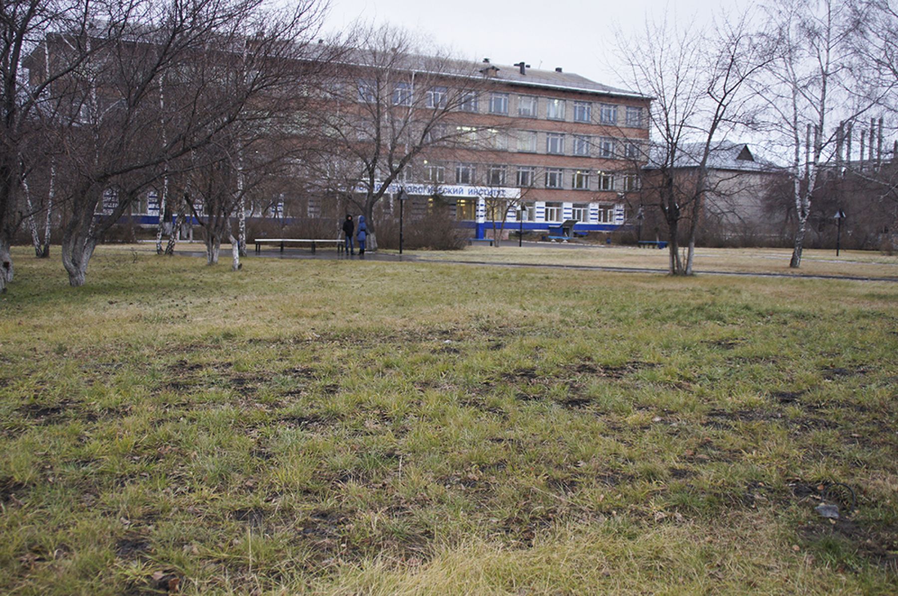 Пять лет назад Бийск мог отметить Новый год без снега