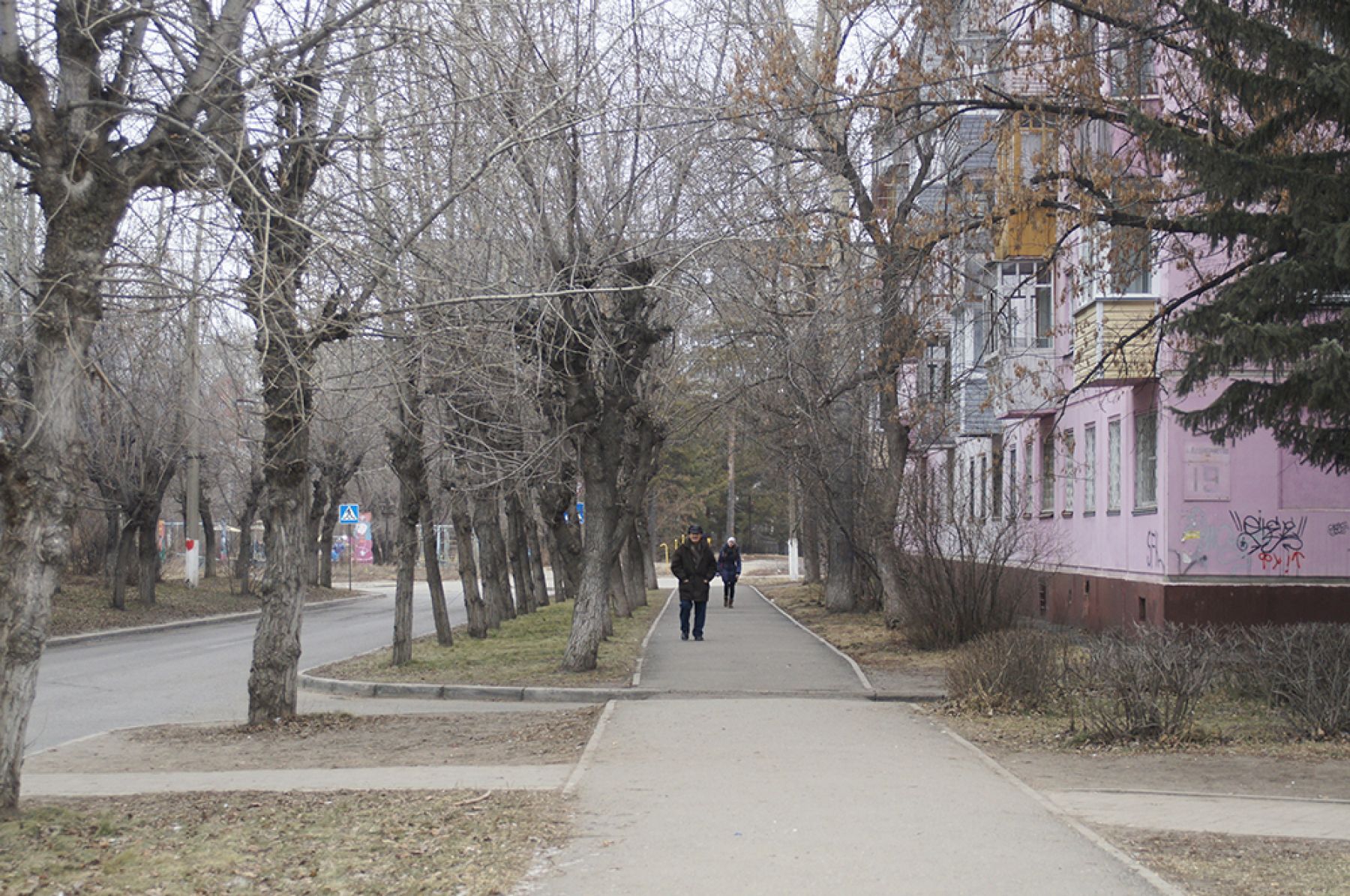 Пять лет назад Бийск мог отметить Новый год без снега