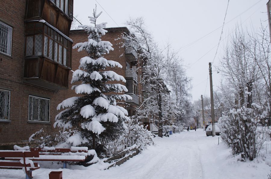 Пять лет назад Бийск мог отметить Новый год без снега