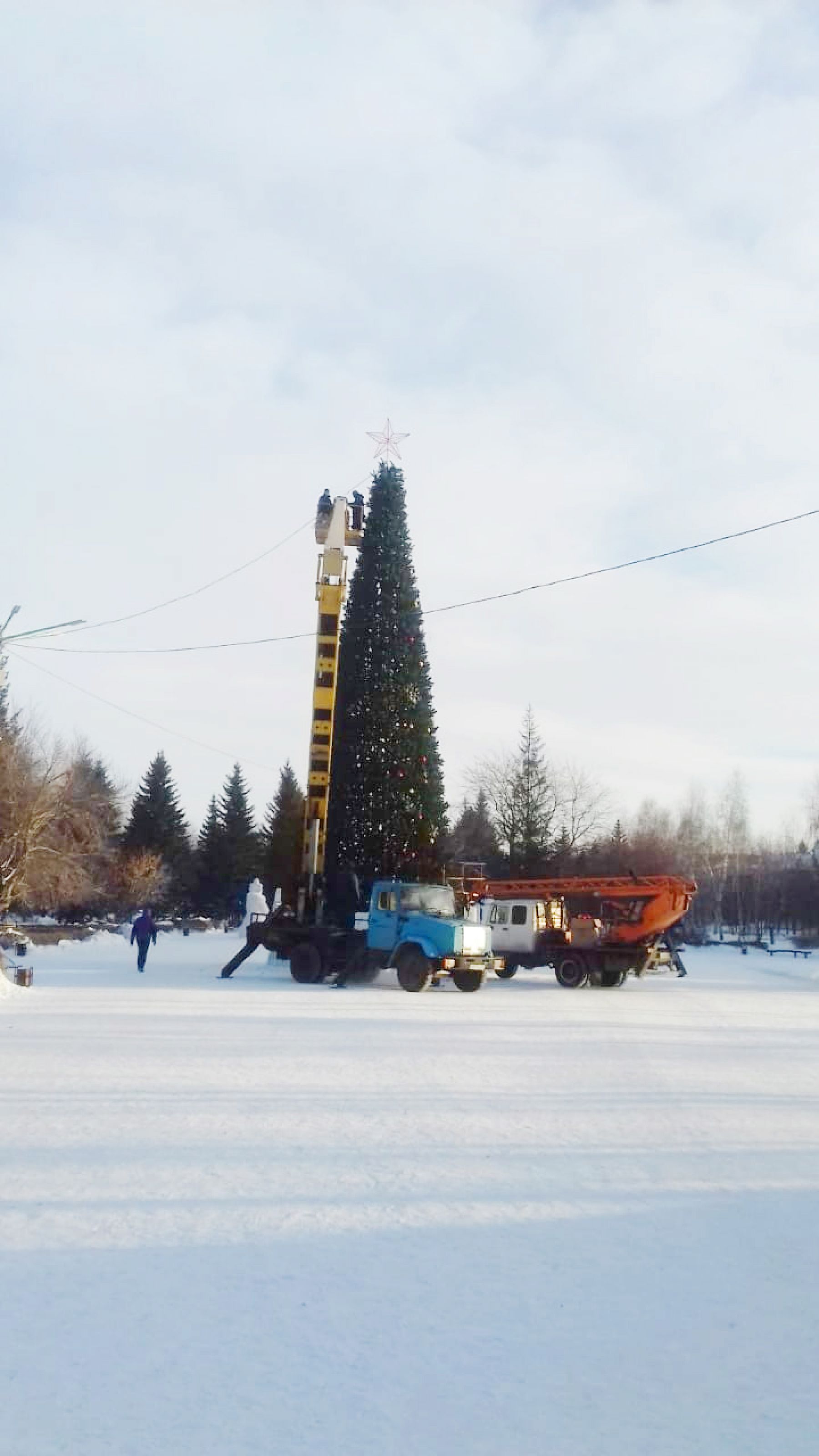 На Петровском бульваре приступили к разбору новогодней ёлки