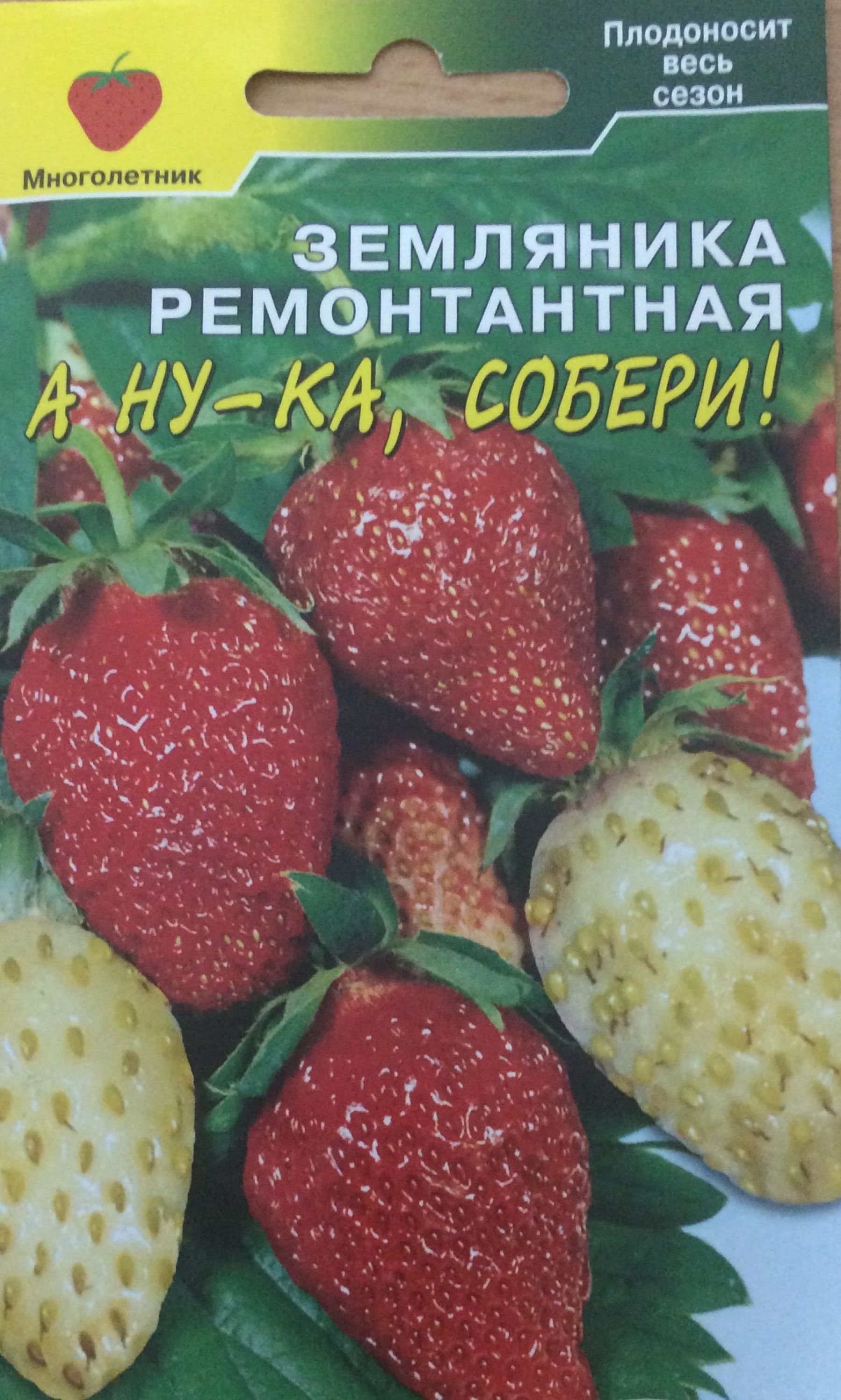 Специалисты знают точно, чем заняться садоводам в январе
