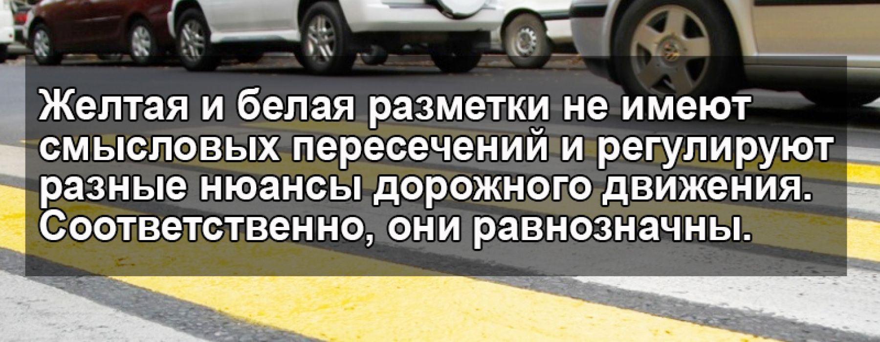 Желтую и шумовую разметку впервые опробуют в республике Алтай