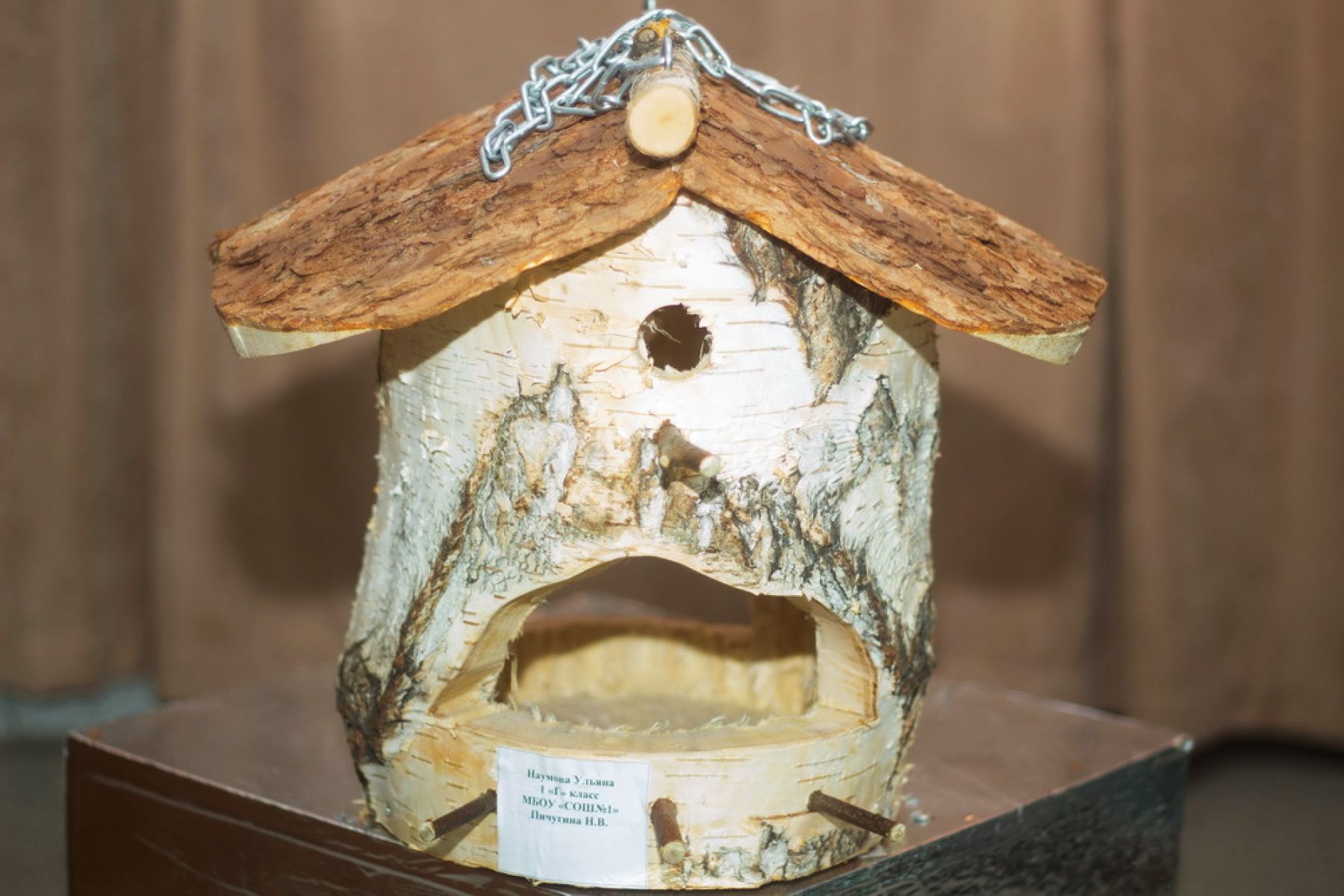 Итоги конкурсов кормушек и рисунков подвели в Бийском краеведческом музее 