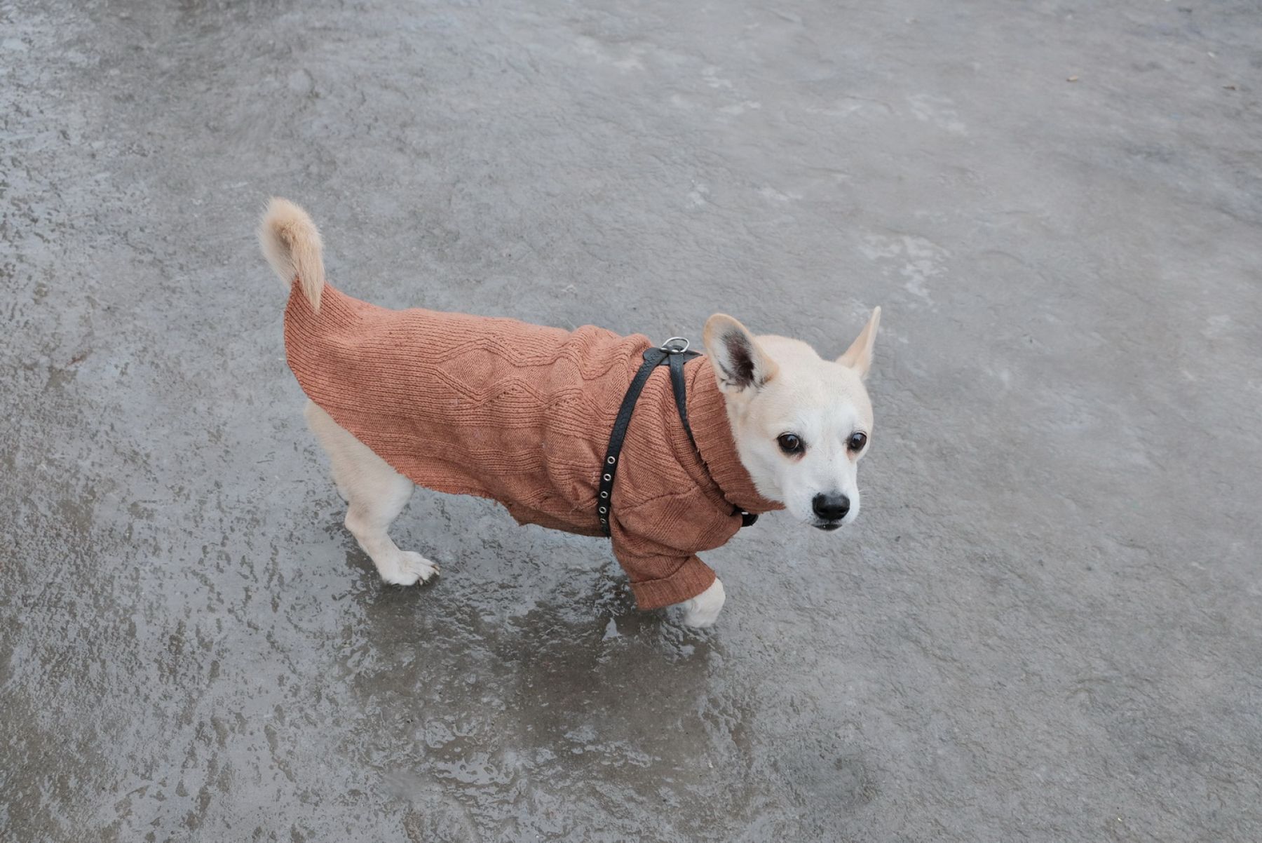 Медики в Бийске регистрируют рост числа пациентов, получивших травмы на улицах 