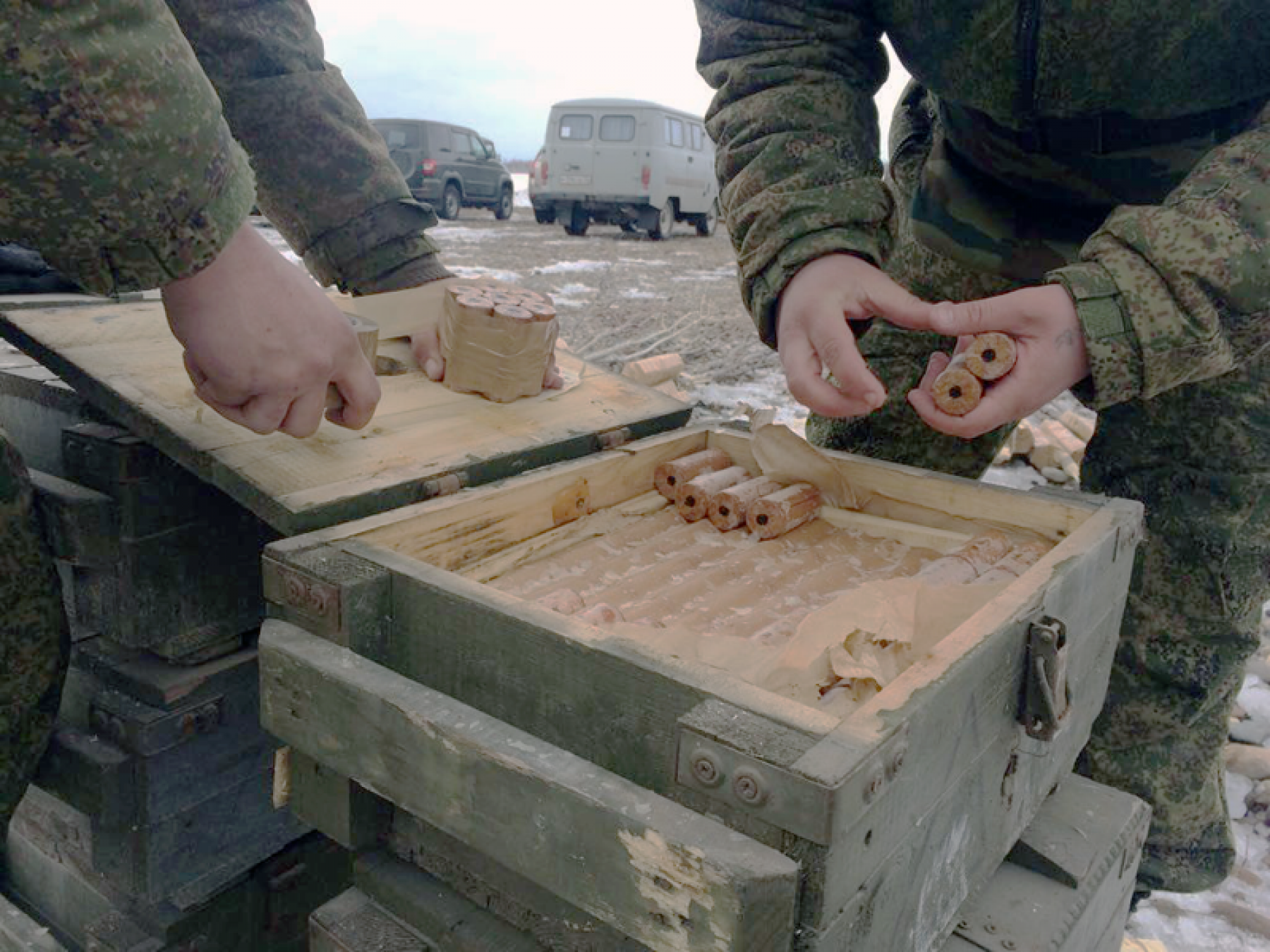 Их любят все: День кошек в инстаграмах бийчан