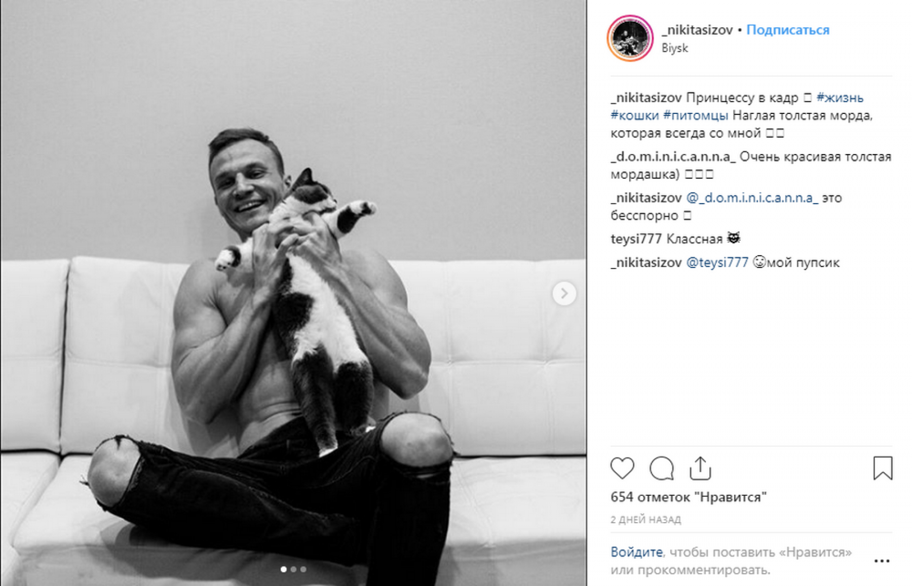 Их любят все: День кошек в инстаграмах бийчан