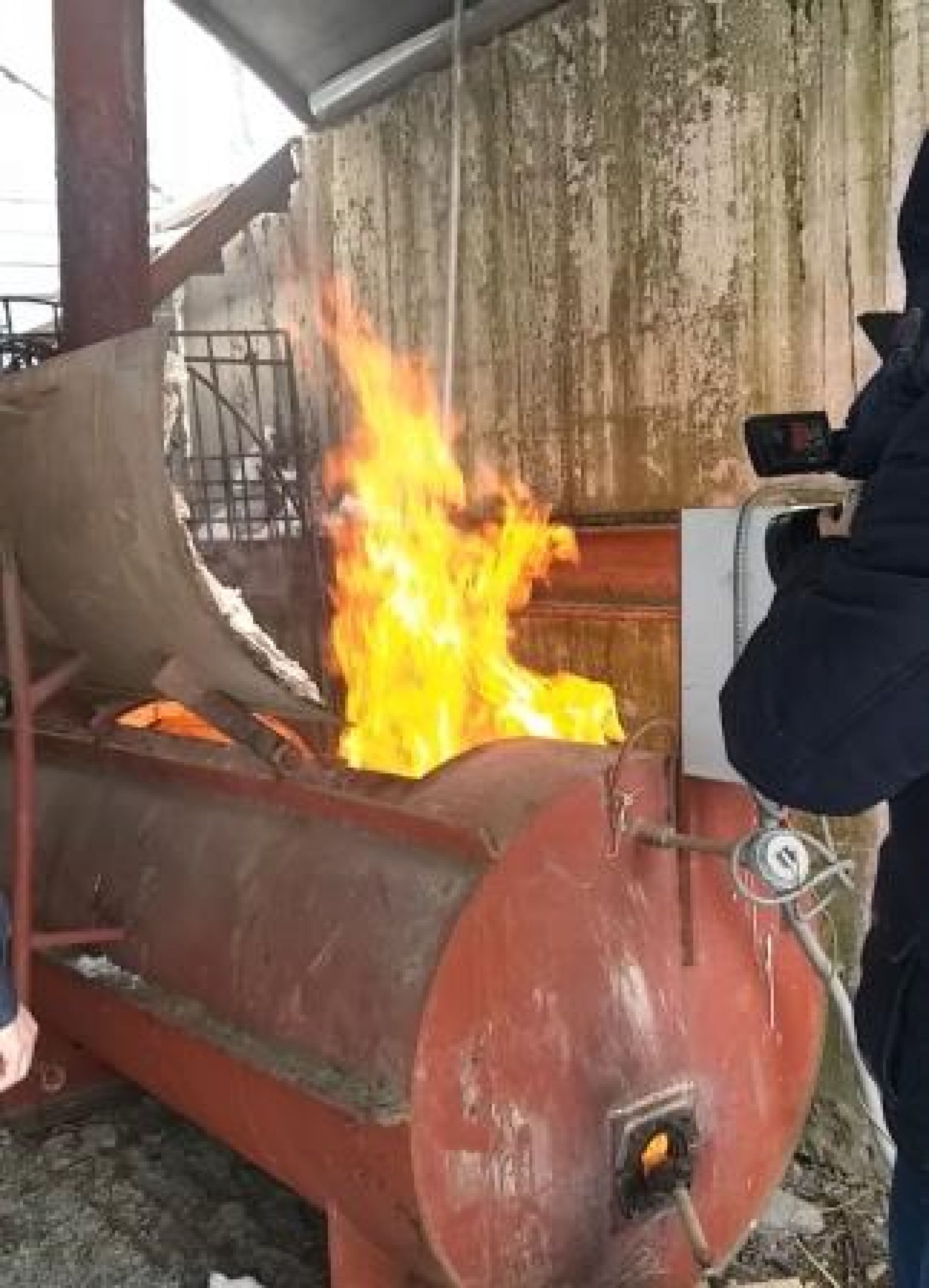 Партию засоренных итальянских семян уничтожили в Алтайском крае 