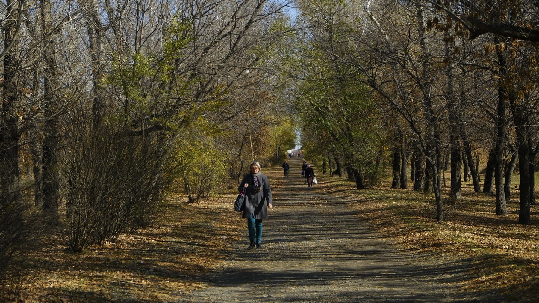 Фонтан, парковка и место для выгула собак: каким будет бульвар Вали Максимовой