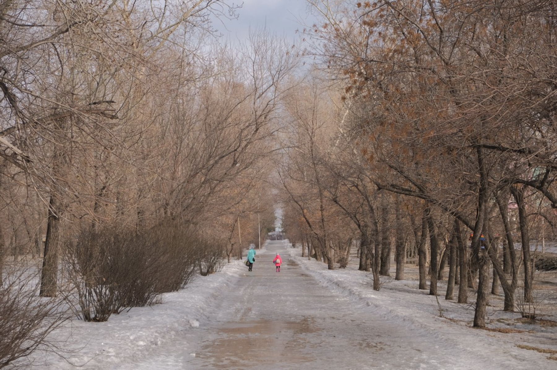 Фонтан, парковка и место для выгула собак: каким будет бульвар Вали Максимовой