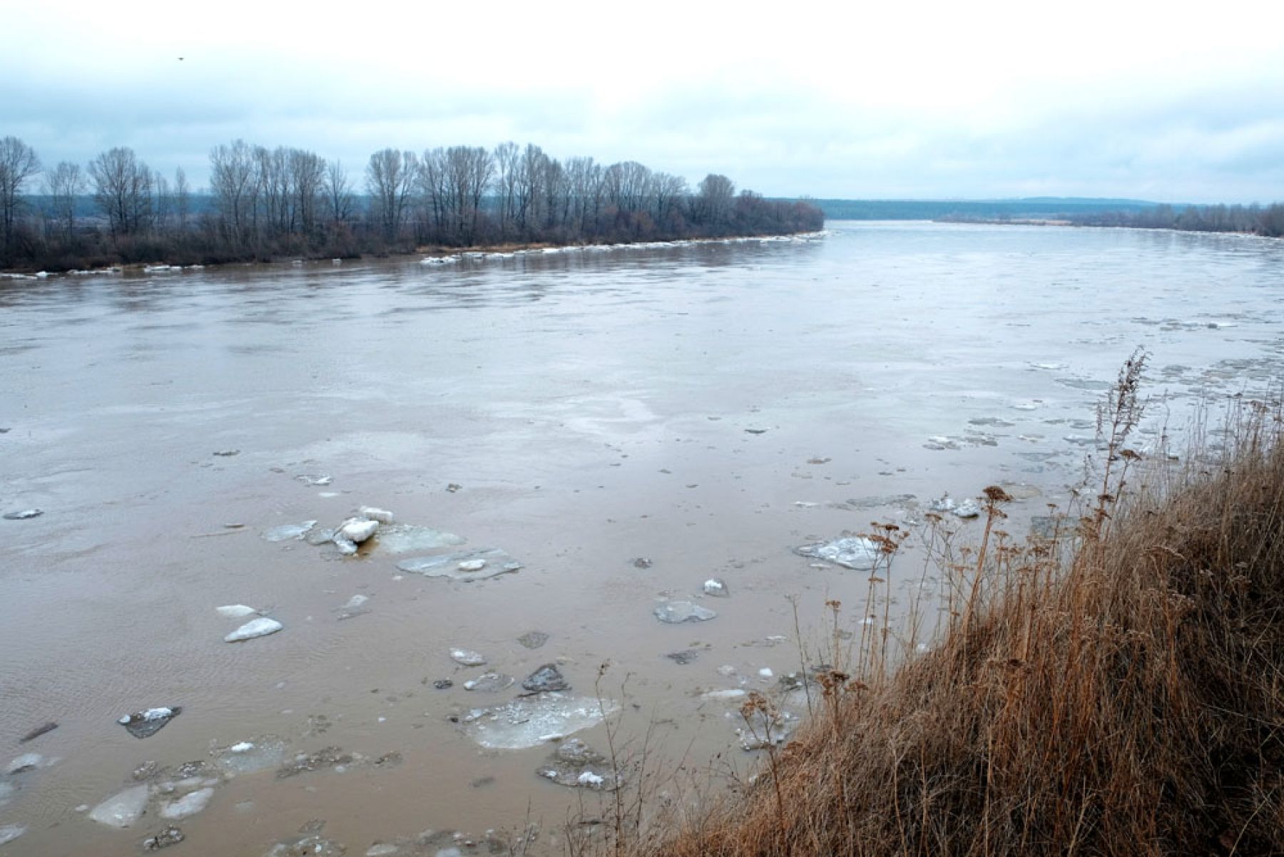 Ледоход идет на Бии и Оби