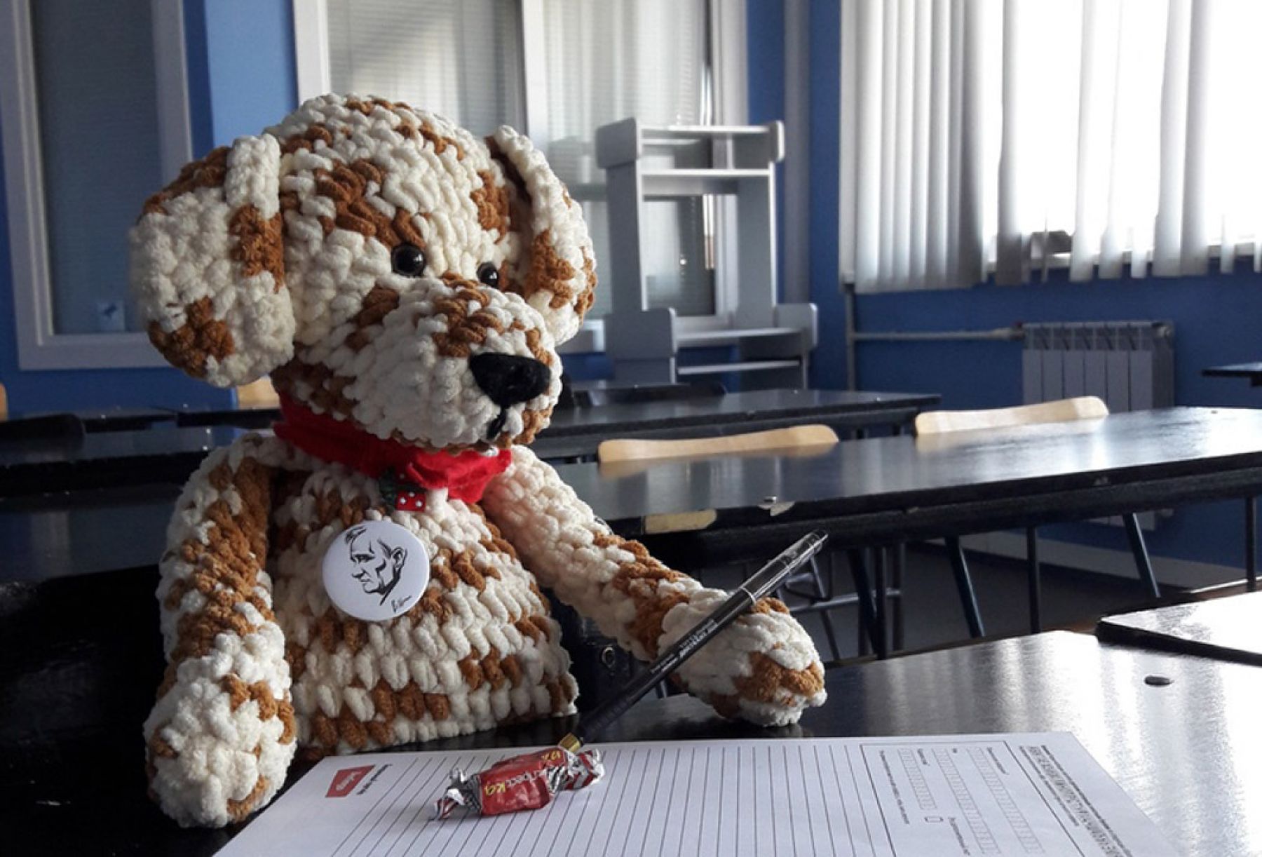 Глобальная акция Тотальный диктант прошла 13 апреля в Бийске