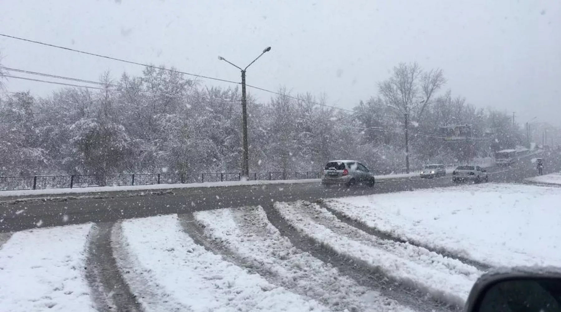Налипший снег валит в Бийске деревья. Прямо на машины