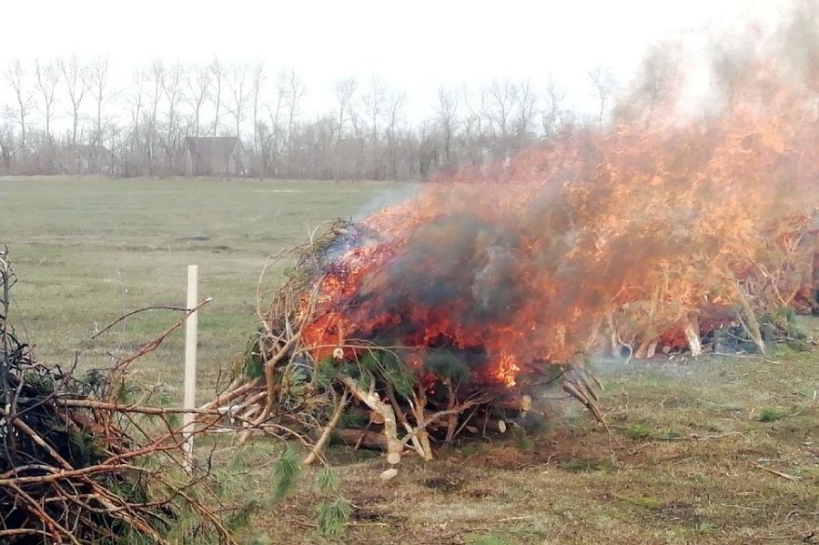 Специалисты рассказали, почему некоторые природные пожары нельзя потушить 
