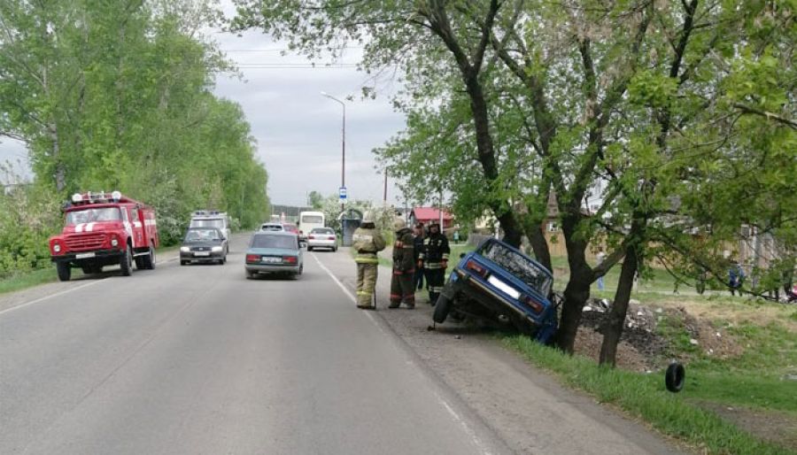 Мужчина погиб в Бийске, врезавшись на машине в дерево 