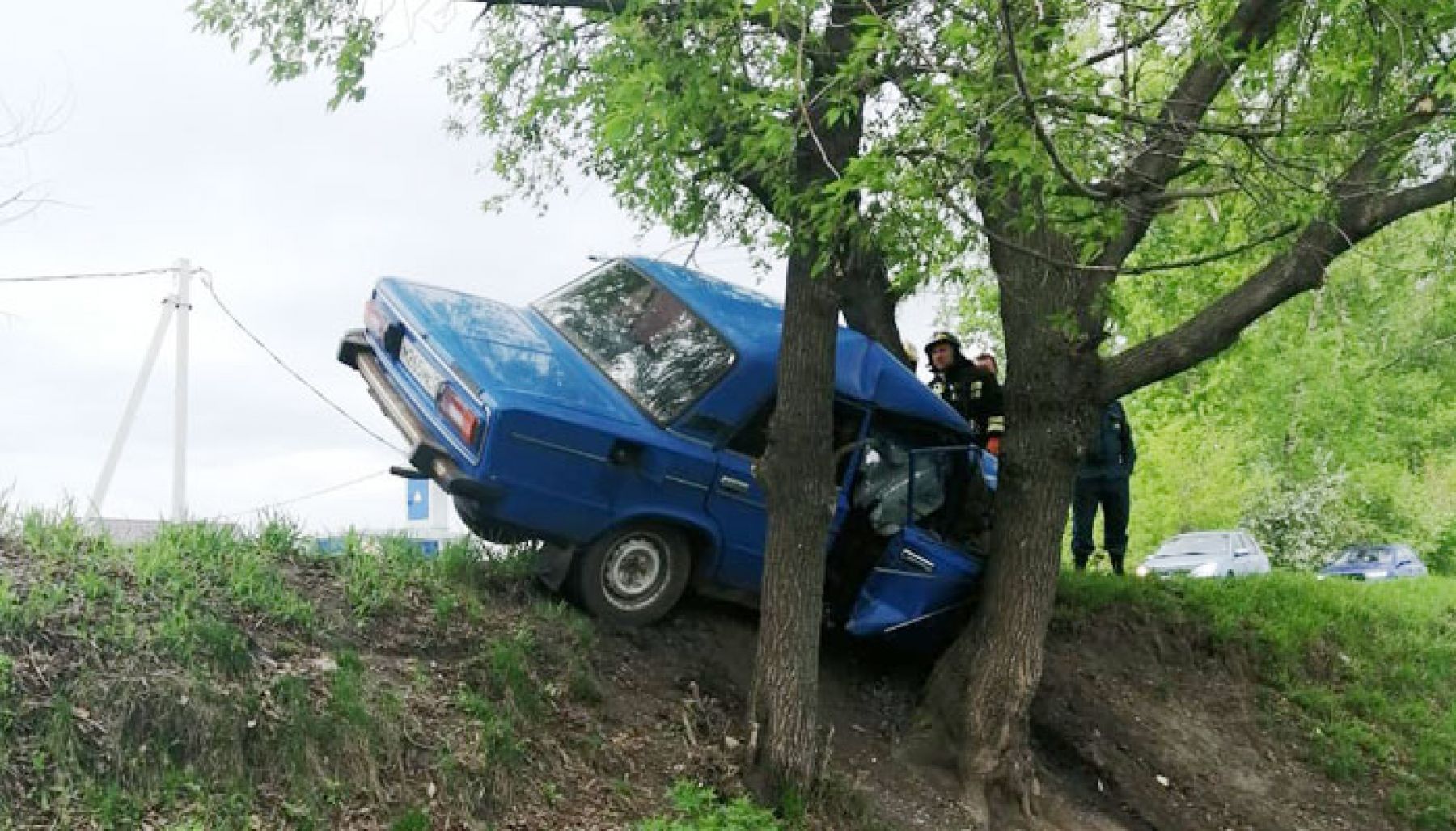 Мужчина погиб в Бийске, врезавшись на машине в дерево 