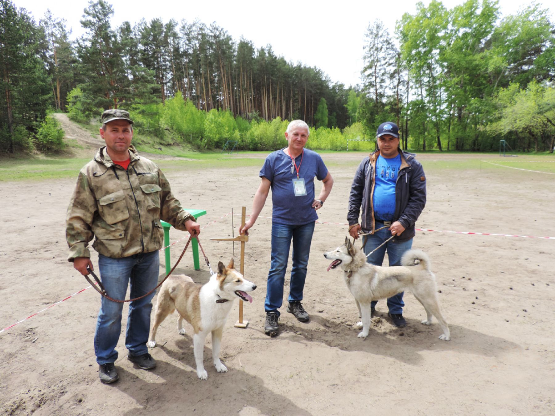 Выставка охотничьих собак прошла в Бийске 