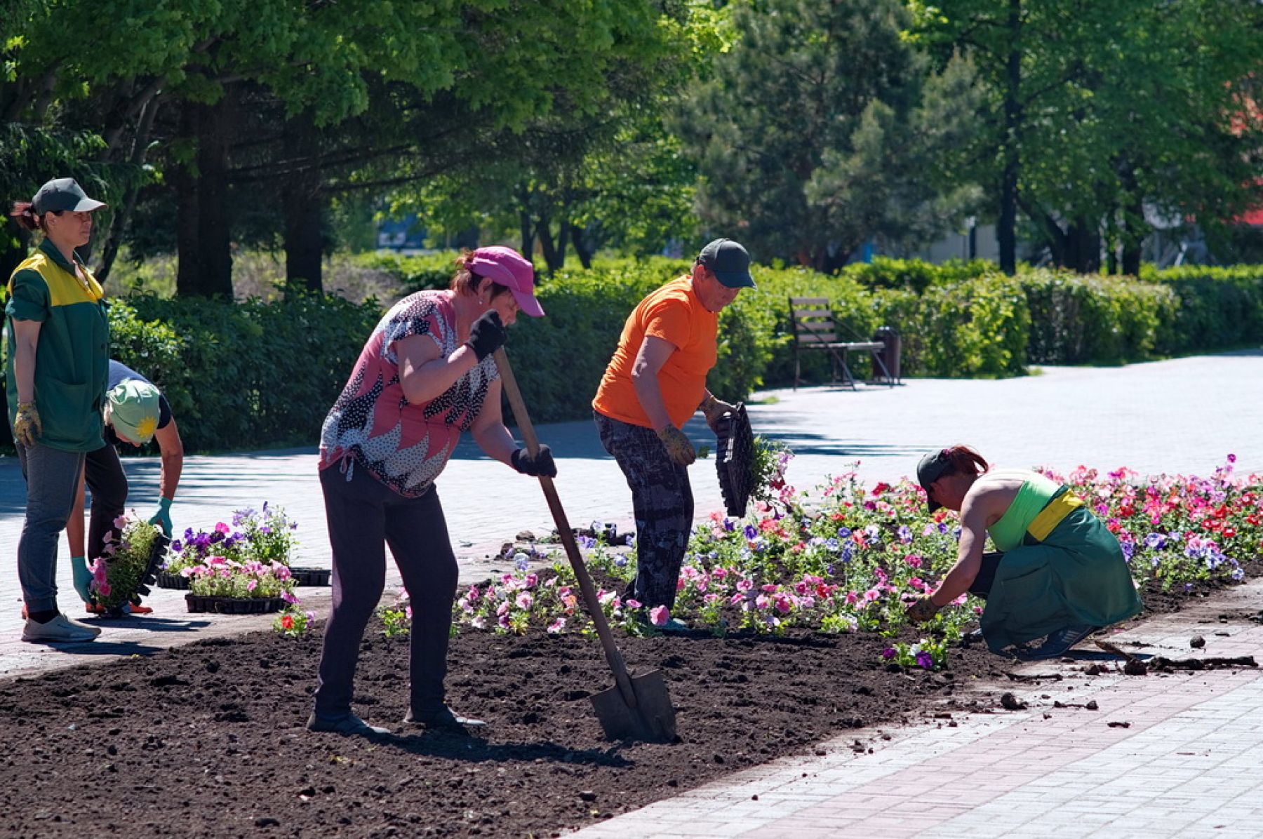 Коммунальщики приступили к озеленению городских территорий 